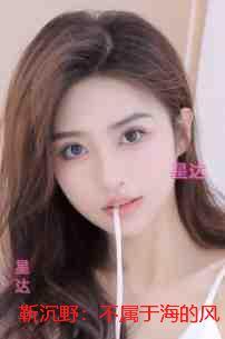 靳沉野:不属于海的风:全文免费在线阅读