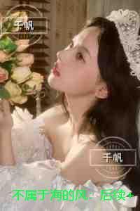 不属于海的风:精品小说