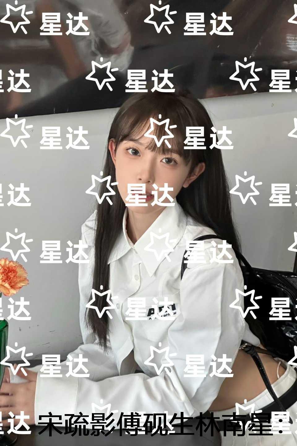 宋疏影傅砚生林南星