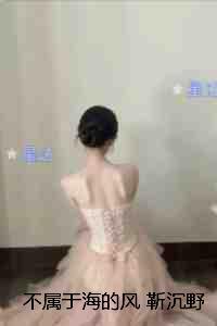 不属于海的风靳沉野:小说免费