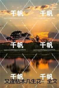 又逢枯木几生花：，宋南音陆瑾深精品选集