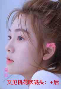 又见桃花吹满头:完结版