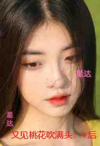 又见桃花吹满头:结局+番外+后续