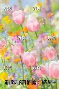 靳沉野唐栖雾:结局+番外榜单