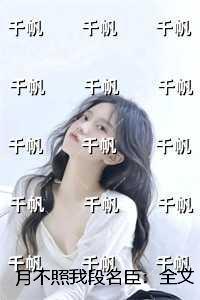 月不照我段名臣：小说免费