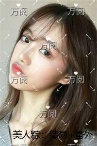 美人粽:精心编著