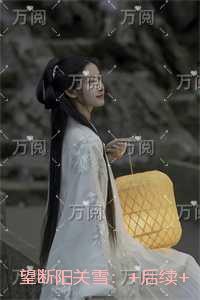 望断阳关雪:番外+无删减