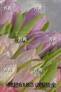 我趁618活动囤货全家却要我去死：+后续