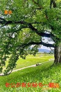 老公多看女秘书一眼,我直接离婚:结局+番外免费