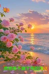 唐栖雾不属于海的风：后续结局