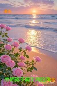 唐栖雾不属于海的风:精选