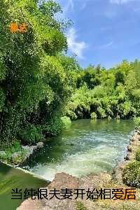 当纯恨夫妻开始相爱后：小说结局