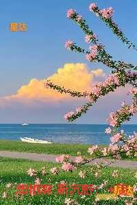 唐栖雾靳沉野:短篇小说阅读