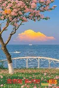 唐栖雾靳沉野：全集小说