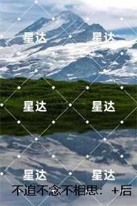 不追不念不相思：全文章节