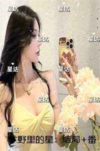 旷野里的星推荐必读