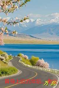 替身上位五年后,老公和兄弟当我面打赌:后续+无弹窗