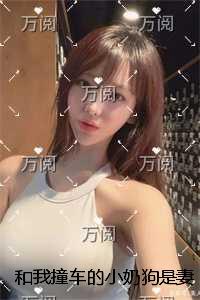 和我撞车的小奶狗是妻子小情人内容精选