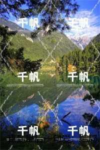 直到最后一句爱：优质全文阅读