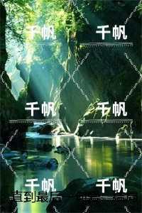 直到最后一句爱:精彩章节