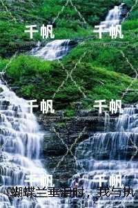 蝴蝶兰垂泪时，我与执念言和：，苏屿沉林夏小说免费