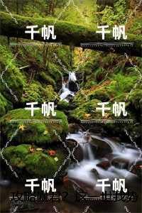 攻略暴君?这一世我势在必得:全文在线阅读