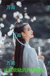 沈意欢陆沉舟林青绾:全章+后续+结局