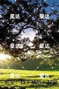 名义:我下场后,祁同伟必须进步:完整版