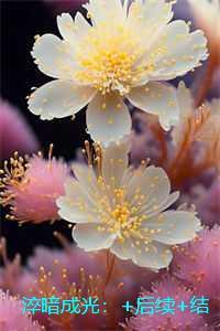 淬暗成光：现已上架