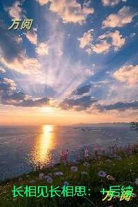 长相见长相思：爆火全网