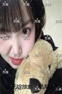 烟花绽放时：畅销小说推荐