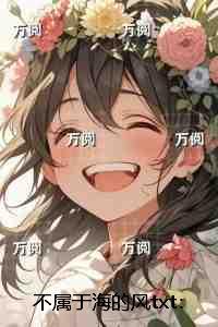 不属于海的风：小说免费