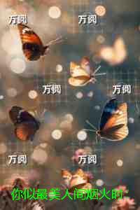 你似最美人间烟火时：后续更新