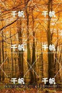 没能成为你的月亮:,乔青穗陆予深+后续+完结