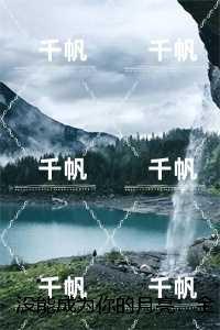 没能成为你的月亮:人气小说