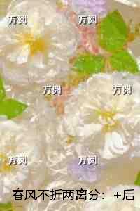 春风不折两离分:完整版在线阅读