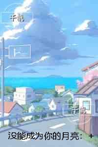 没能成为你的月亮:+后续