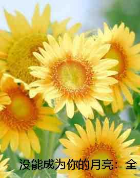 没能成为你的月亮:必读爽文