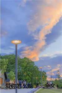 爱你怎么能了：书荒全文