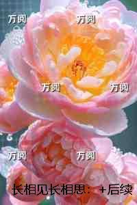 长相见长相思：番外笔趣阁