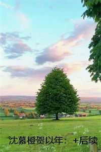 沈慕橙贺以年：未删节