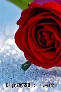 烟花绽放时：全文完结版阅读