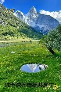 陆予深乔青穗苏念宁：精选小说推荐