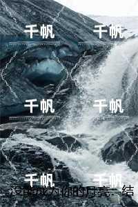 没能成为你的月亮:热门小说