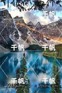 淬暗成光:,沈云舒江鹤结局+番外新书