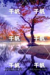 淬暗成光:免费结局+后续高分完本