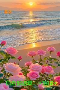 白首恨迟暮:章节在线阅读