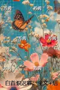 白首恨迟暮：每日分享