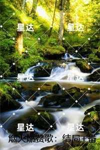 烟火燃赞歌：完结文