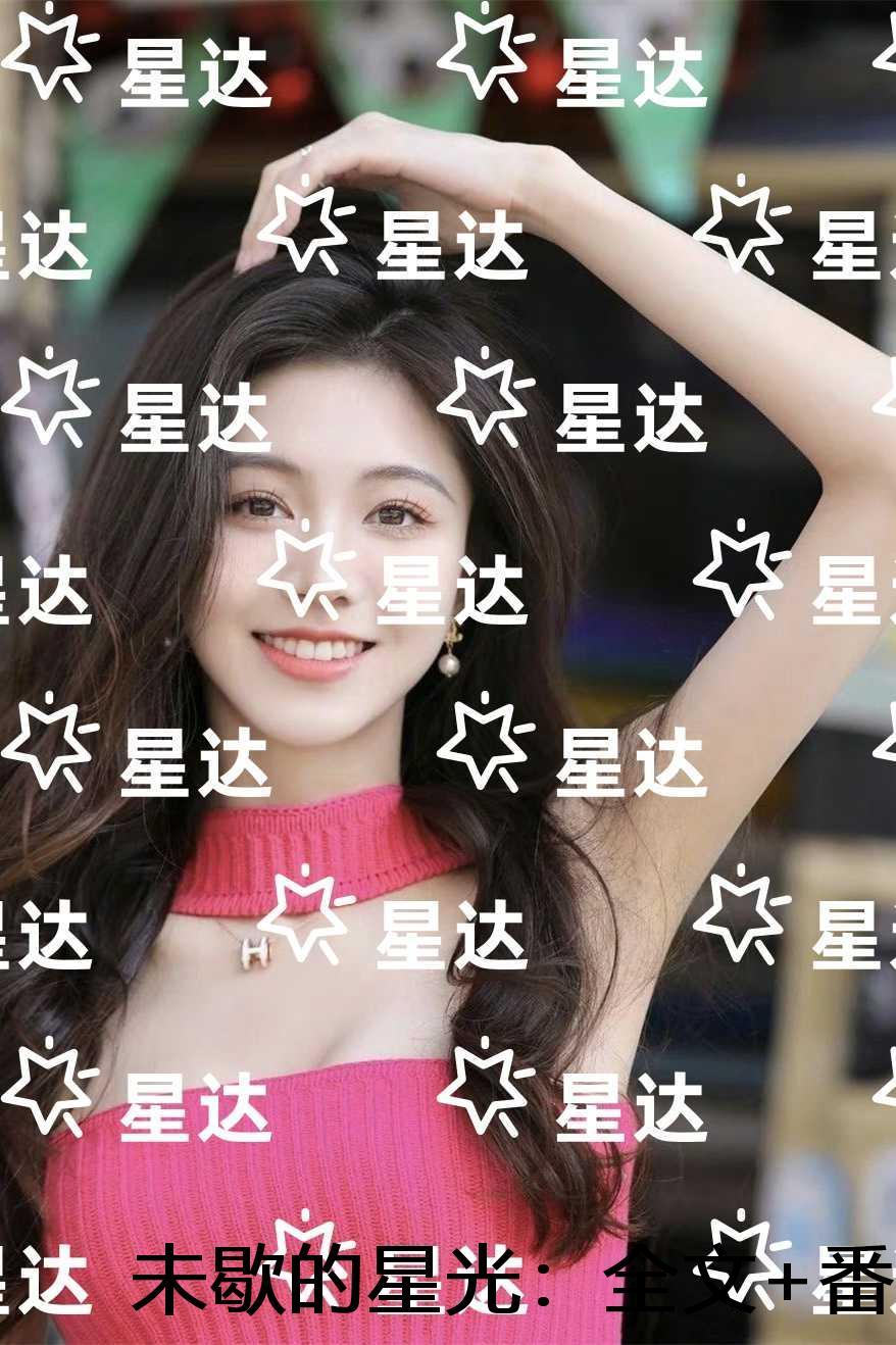 未歇的星光：高质量小说